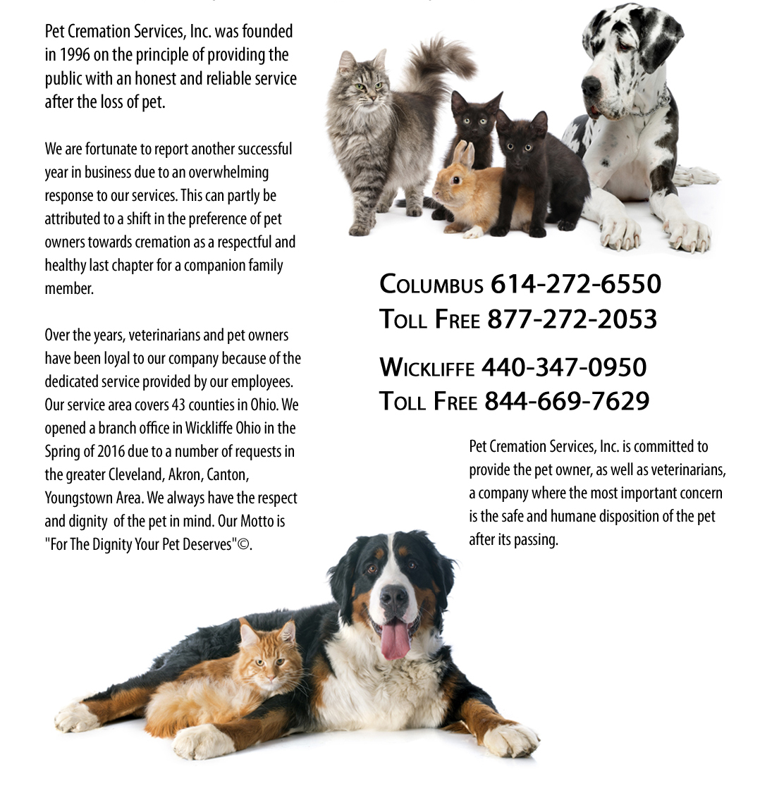 pet cremation services