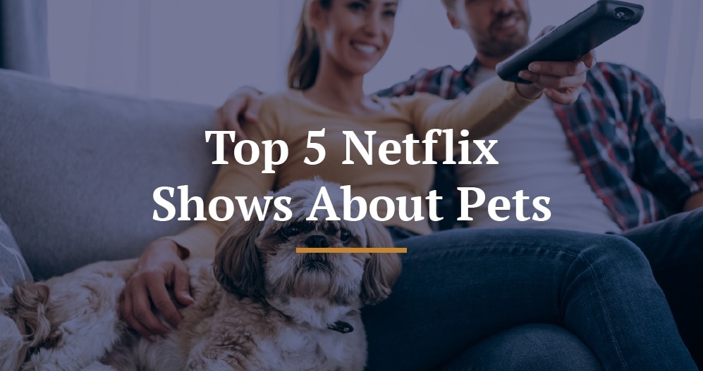 Netflix shows about pets title image.