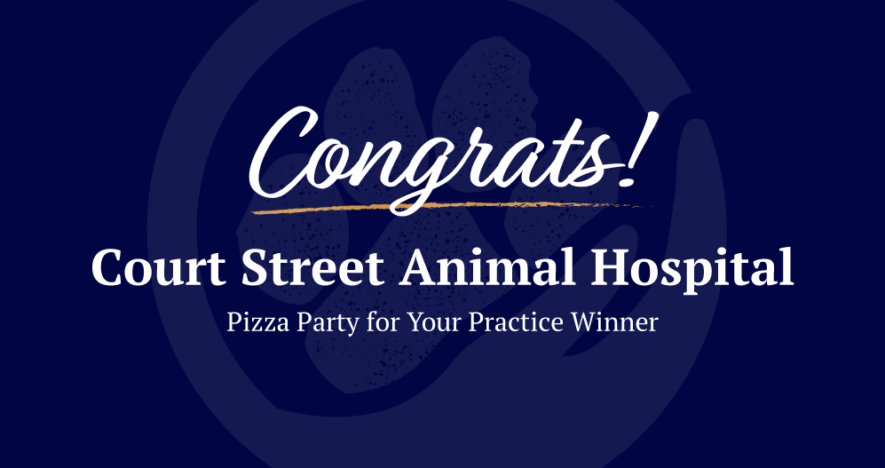 Court Street Animal Hospital pizza party winner image.