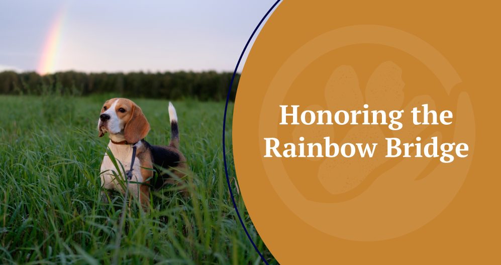 Honoring the Rainbow Bridge poem title image.