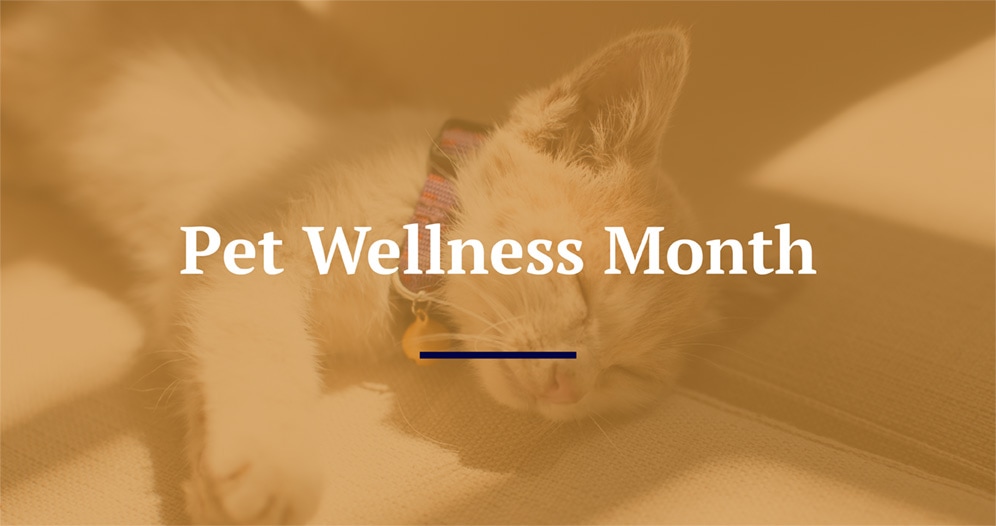 National Pet Wellness Month.