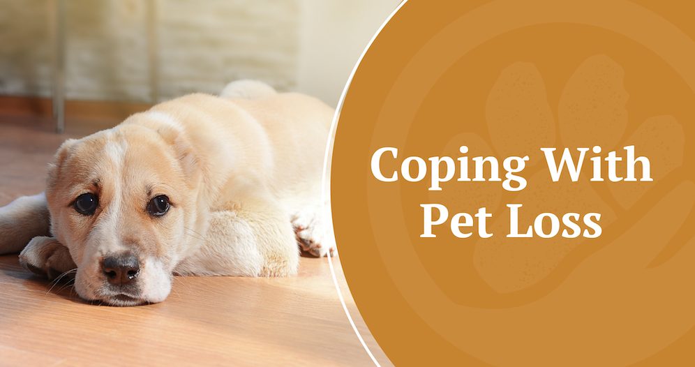 Coping With Pet Loss.