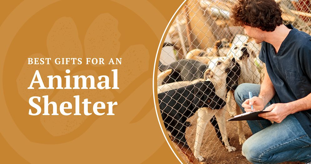 Best gifts for an animal shelter.