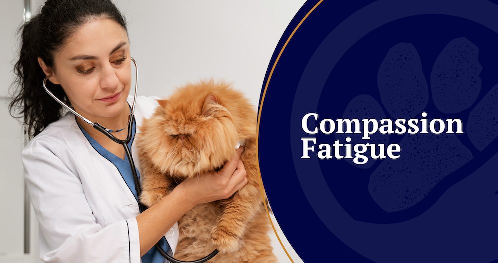 Compassion Fatigue in the Veterinary Profession.