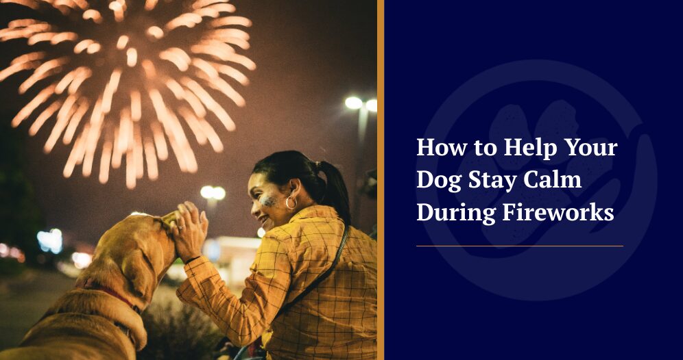 how to help your dog stay calm during fireworks, woman and her dog watching fireworks